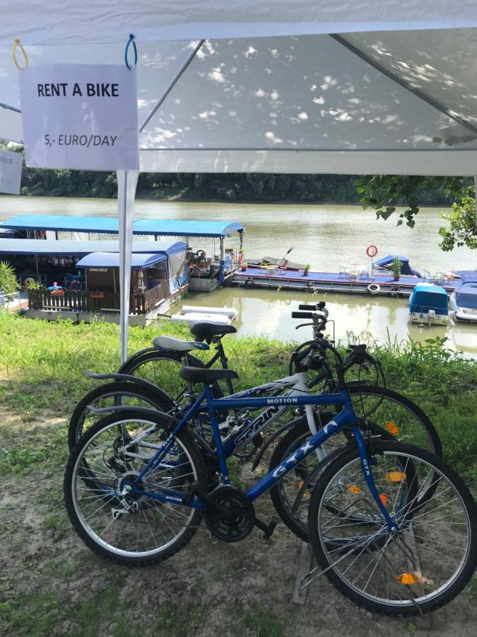 Tisza-Beach Wild Camping 5 塞格德 外观 照片