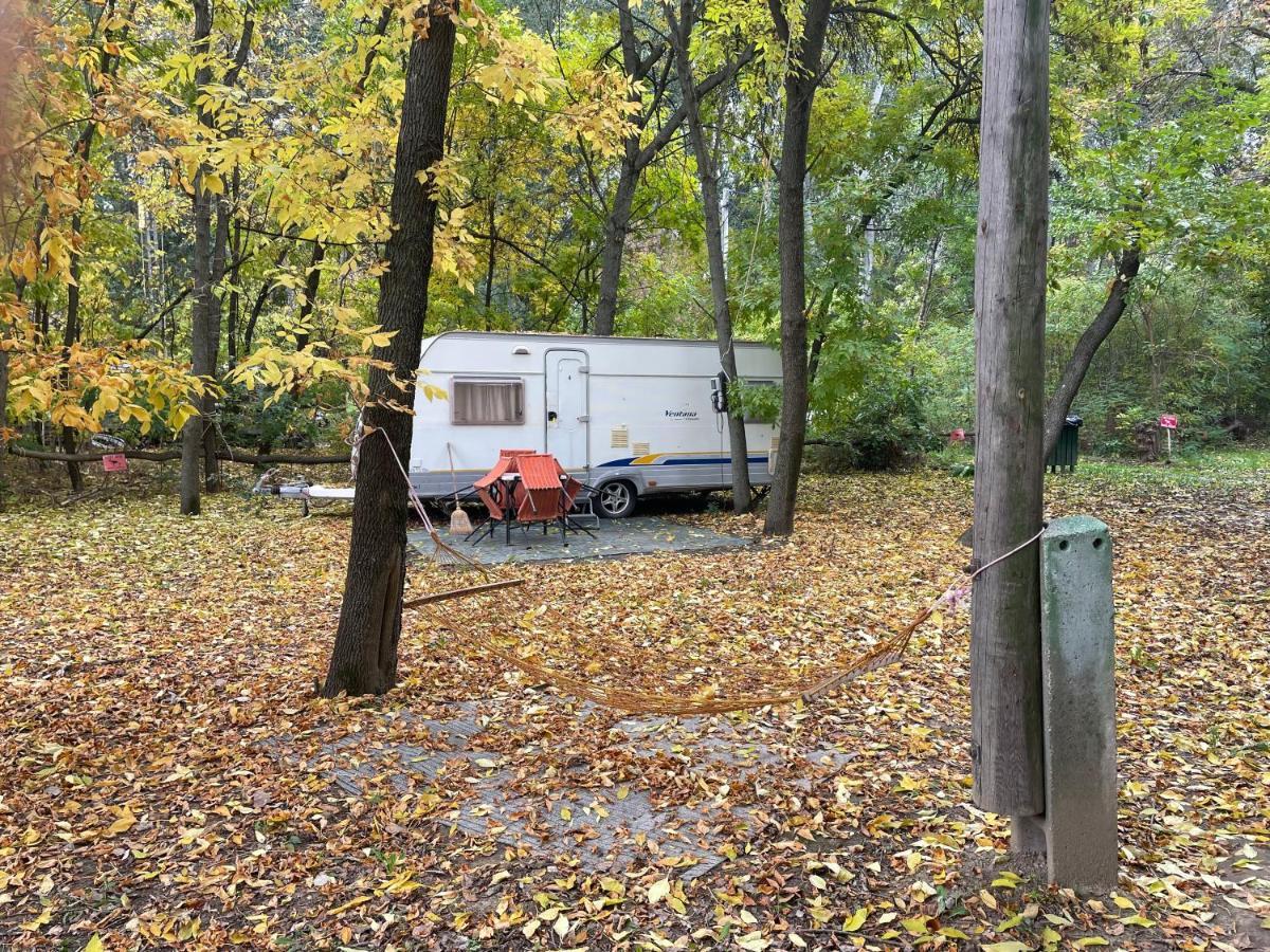 Tisza-Beach Wild Camping 5 塞格德 外观 照片