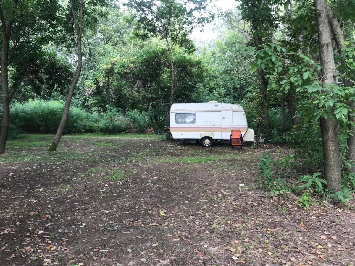 Tisza-Beach Wild Camping 5 塞格德 外观 照片