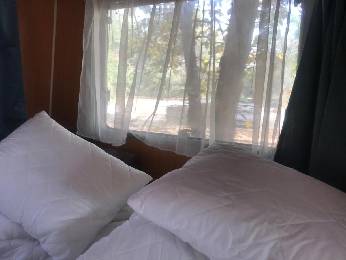 Tisza-Beach Wild Camping 5 塞格德 外观 照片