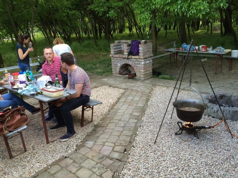 Tisza-Beach Wild Camping 5 塞格德 外观 照片