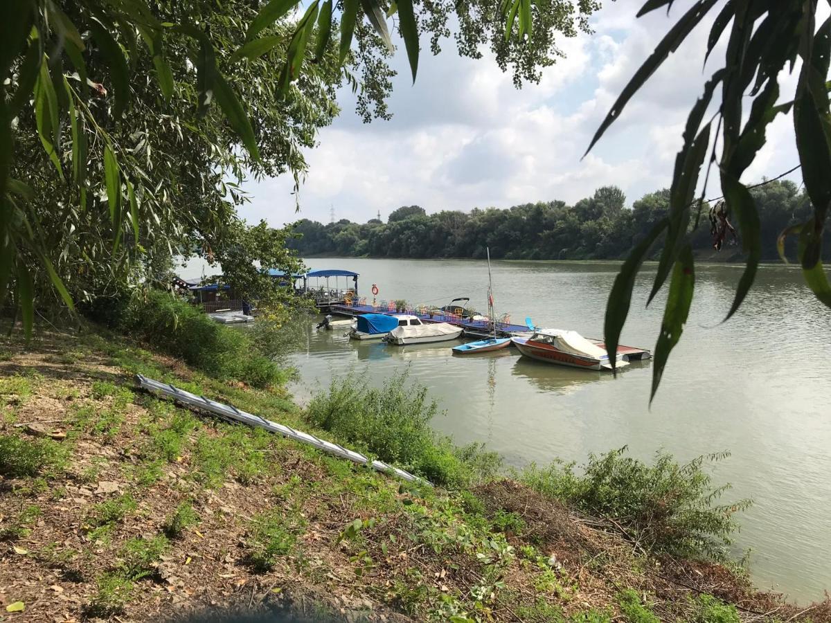Tisza-Beach Wild Camping 5 塞格德 外观 照片