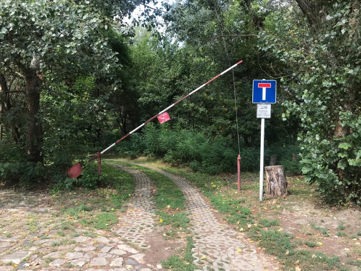 Tisza-Beach Wild Camping 5 塞格德 外观 照片