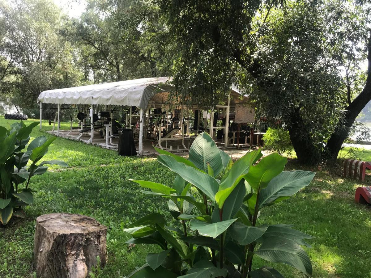 Tisza-Beach Wild Camping 5 塞格德 外观 照片