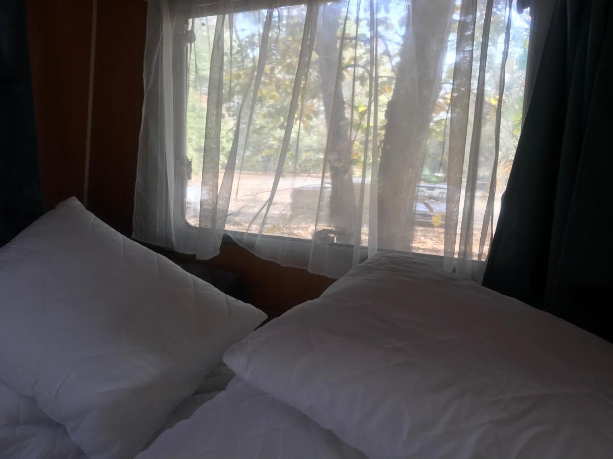 Tisza-Beach Wild Camping 5 塞格德 外观 照片